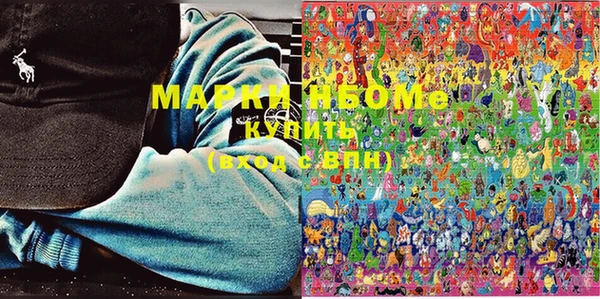 индика Балахна