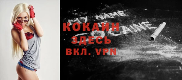 индика Балахна