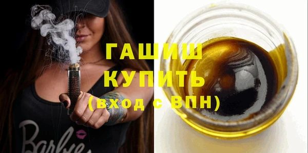 индика Балахна