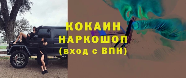 индика Балахна