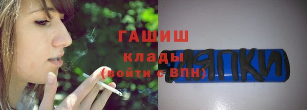 индика Балахна