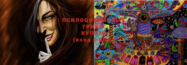 индика Балахна