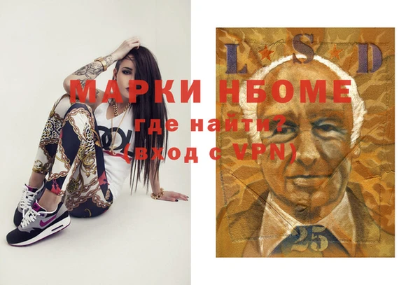 индика Балахна