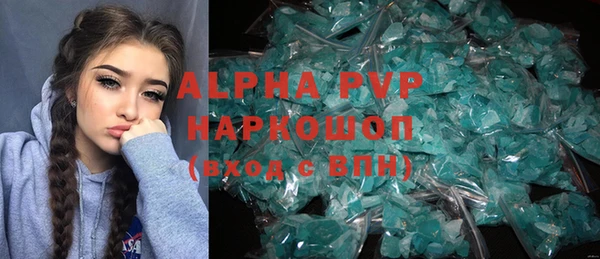 индика Балахна