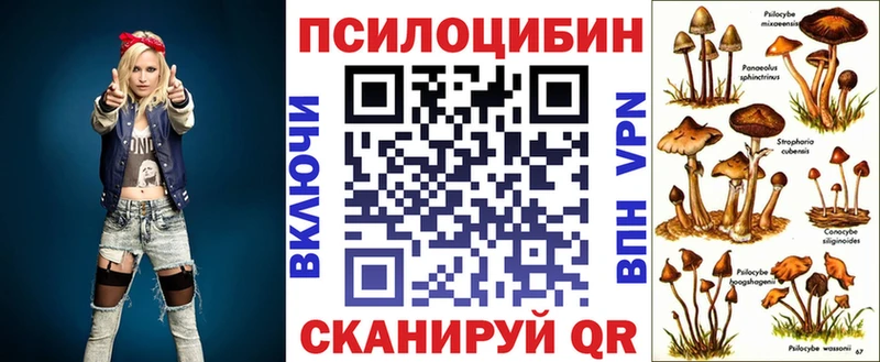 продажа наркотиков  Лагань  kraken ONION  Псилоцибиновые грибы Magic Shrooms 